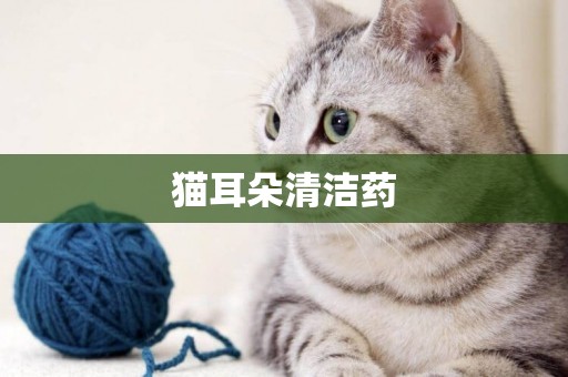 猫耳朵清洁药